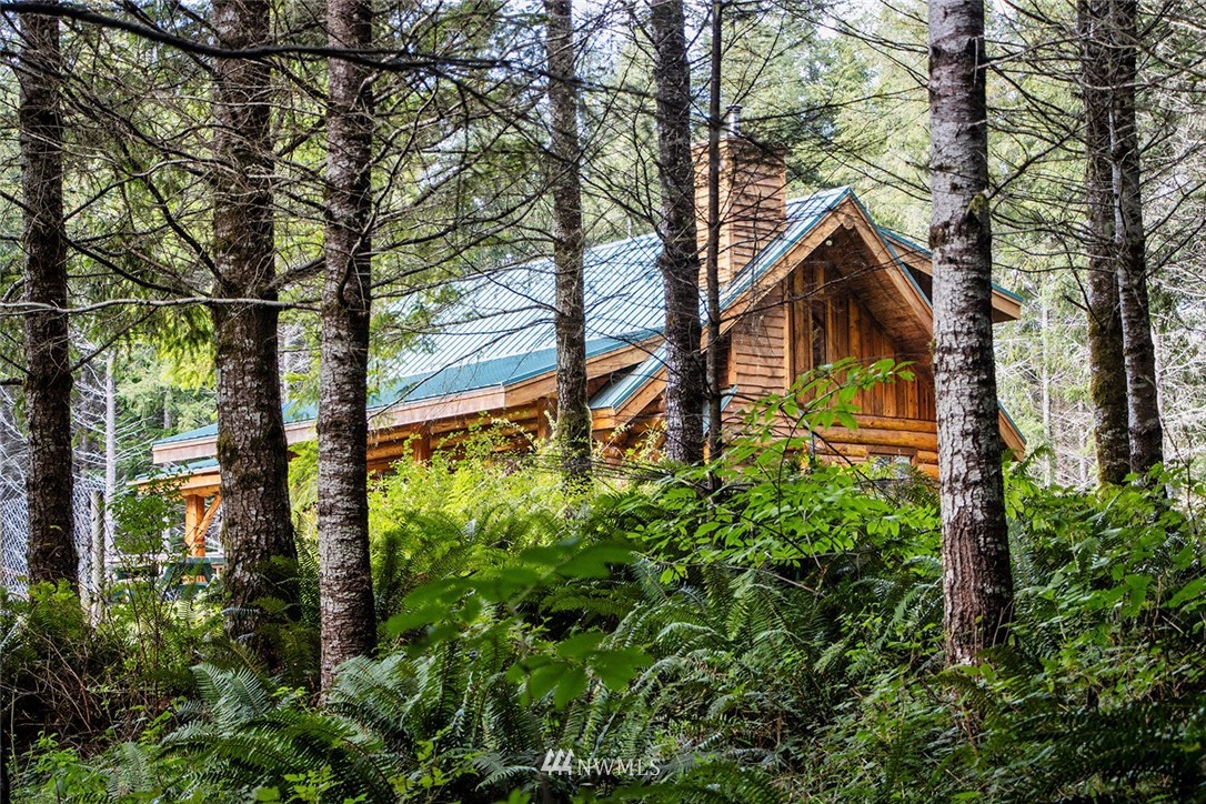 895 Lords Lake Loop Road Quilcene, WA 98376 - Photo 1 of 35