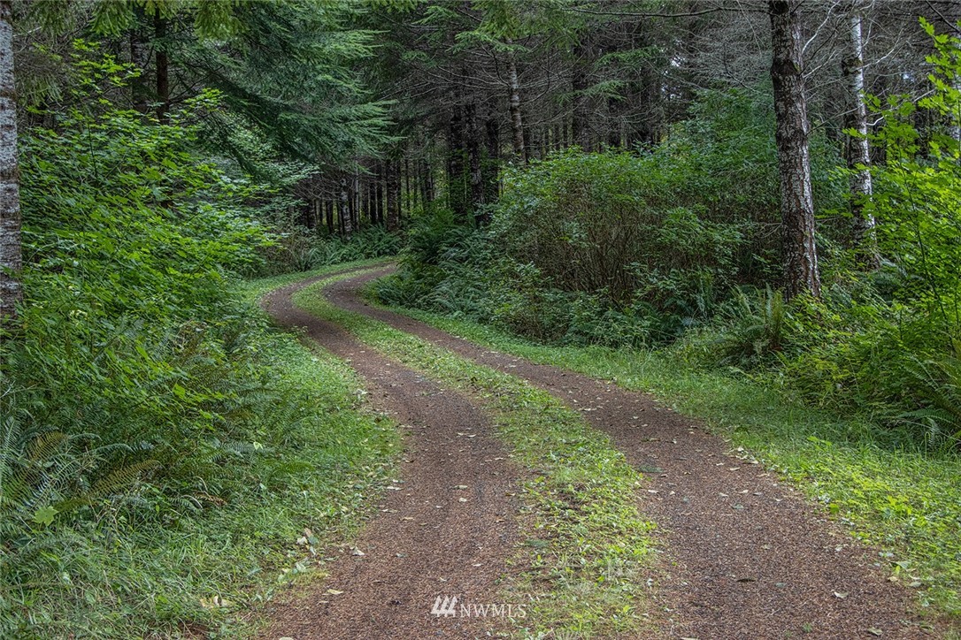 895 Lords Lake Loop Road Quilcene, WA 98376 - Photo 26 of 35