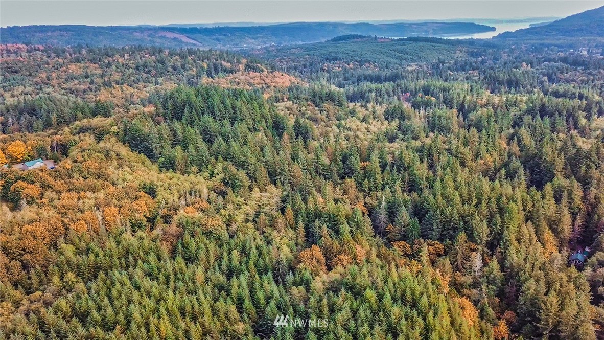 895 Lords Lake Loop Road Quilcene, WA 98376 - Photo 27 of 35