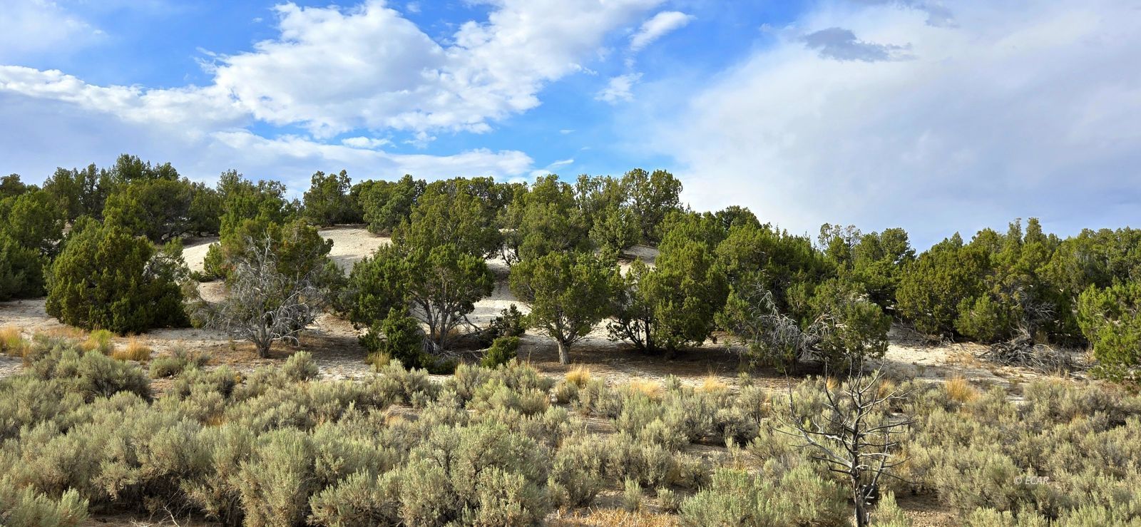816 Hamilton Stage Road Spring Creek, NV 89815 - Photo 28 of 36 Gallery Image 28