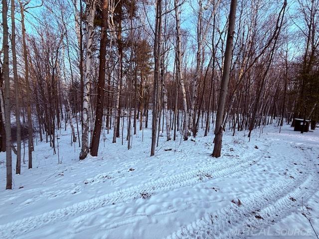 1591 Winslow Road Imlay City, MI 48444 - Photo 59 of 68 50196822-7200180f-9eeb-42e5-b934-e8599414ea26.JPG