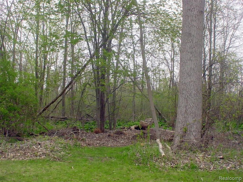 0 Windwheel Point Drive Pinckney, MI 48169 - Photo 6 of 7