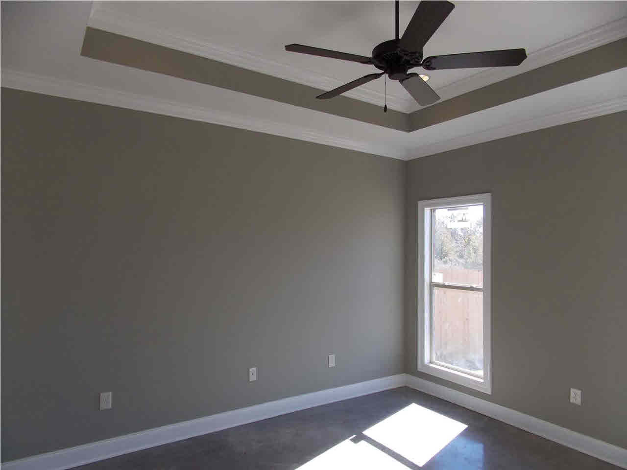 432 Greenfield Ridge Circle Brandon, MS 39042 - Photo 7 of 14 Master Bedroom with tray ceiling