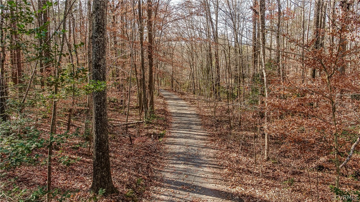 357 Mickie Town Road Maidens, VA 23102 - Photo 49 of 50 Gallery Image 49