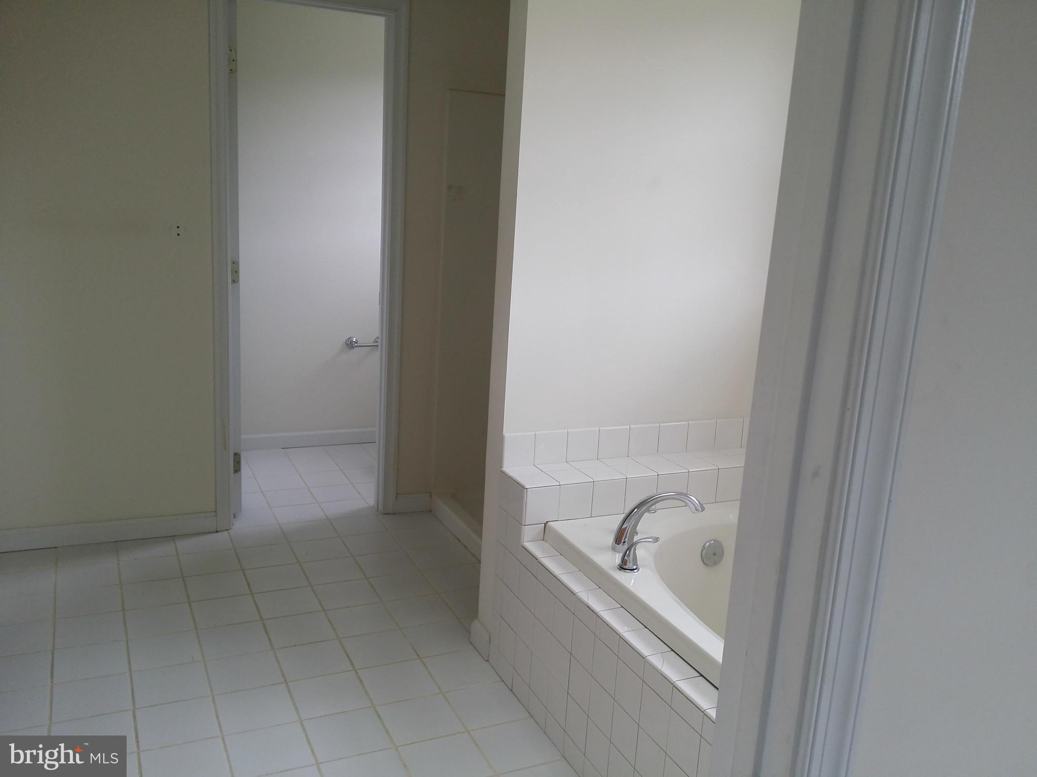 7905 Fingerboard Road Frederick, MD 21704 - Photo 8 of 17 Bath (Master)
