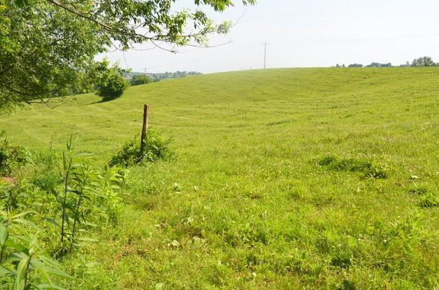 3887 High Bridge Road Lancaster, KY 40444 - Photo 89 of 97 Photo 89