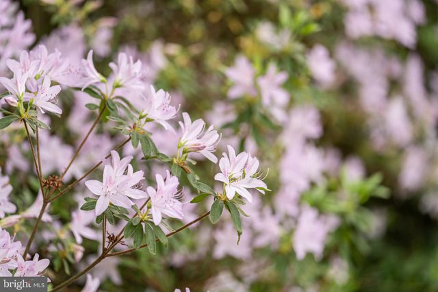 $1,800,000 | 6305 Stoneham Lane, McLean, VA 22101