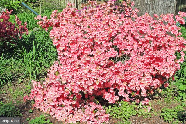 $1,800,000 | 6305 Stoneham Lane, McLean, VA 22101