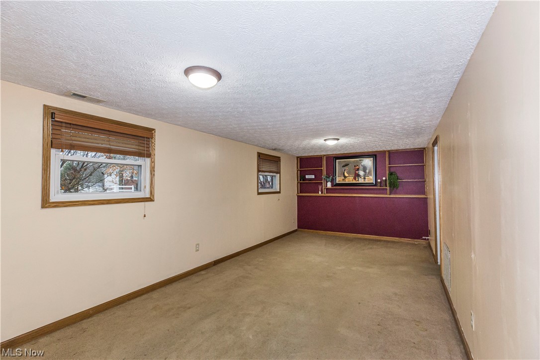 3755 North Santom Road Stow, OH 44224 - Photo 15 of 23 Carpeted lower living room