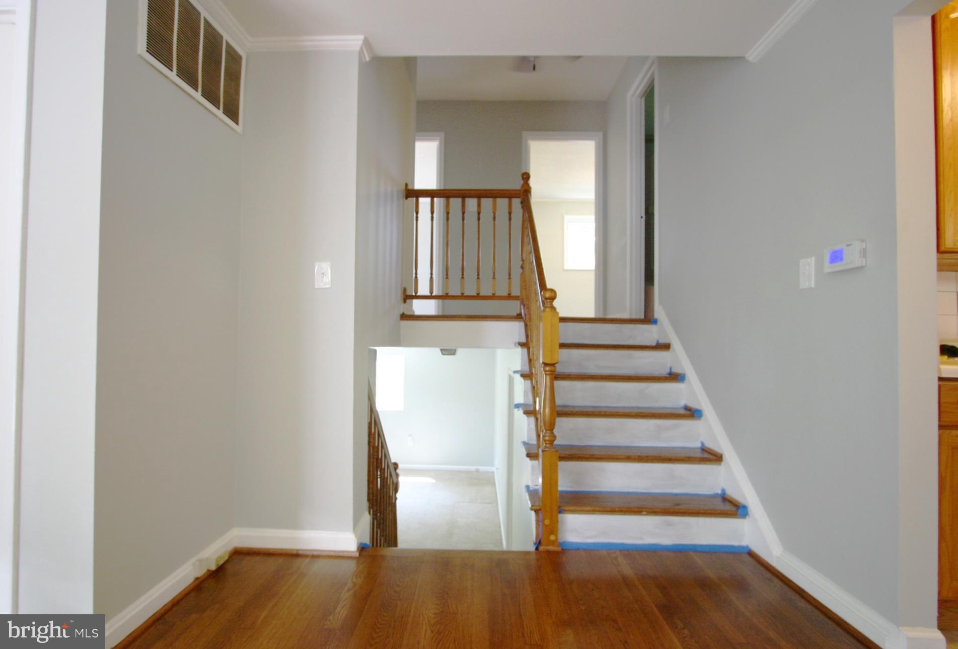 3521 Napier Street Silver Spring, MD 20906 - Photo 10 of 24 Stairway to Upper and Lower Levels