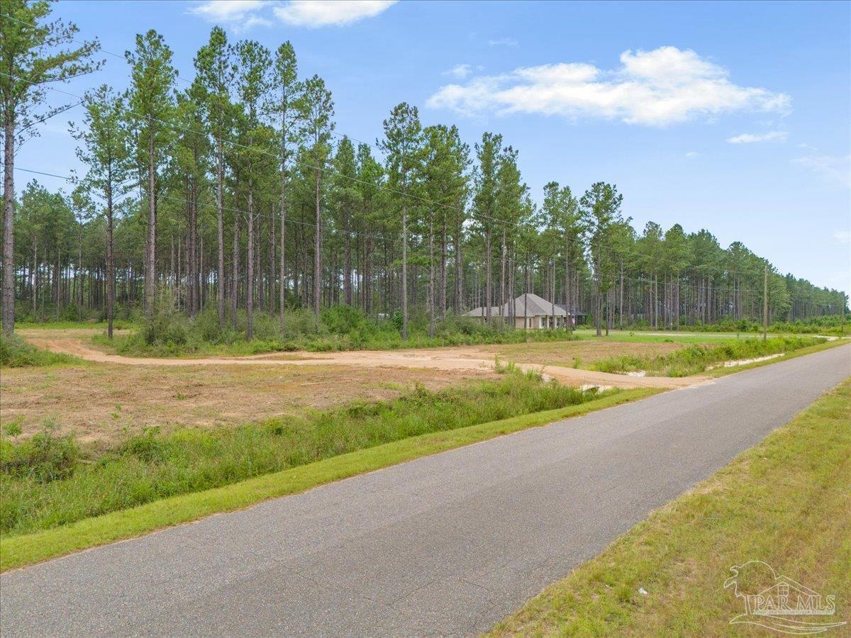 1403 Mineral Springs Road Jay, FL 32565 - Photo 9 of 15