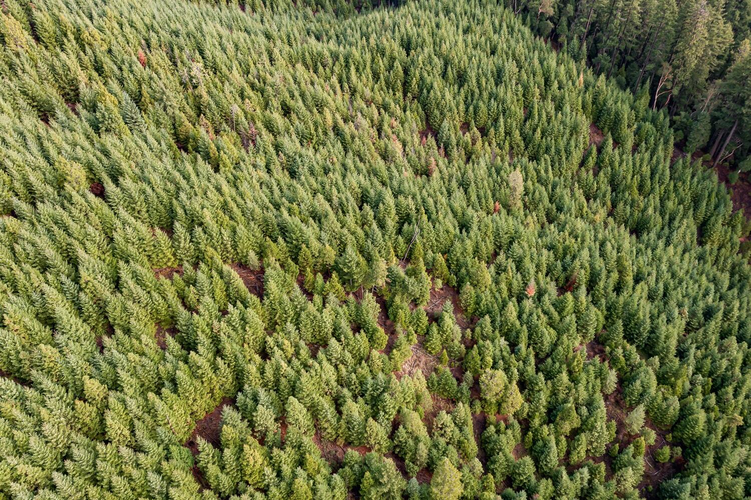 River Road Trail, OR 97541 - Photo 9 of 20 DJI_0937HDR27