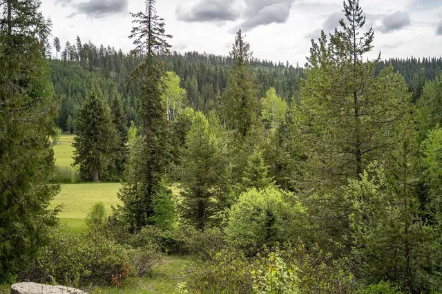 $145,000 | 207 Long Drive, Unit LOT #4, Priest Lake, ID 83856