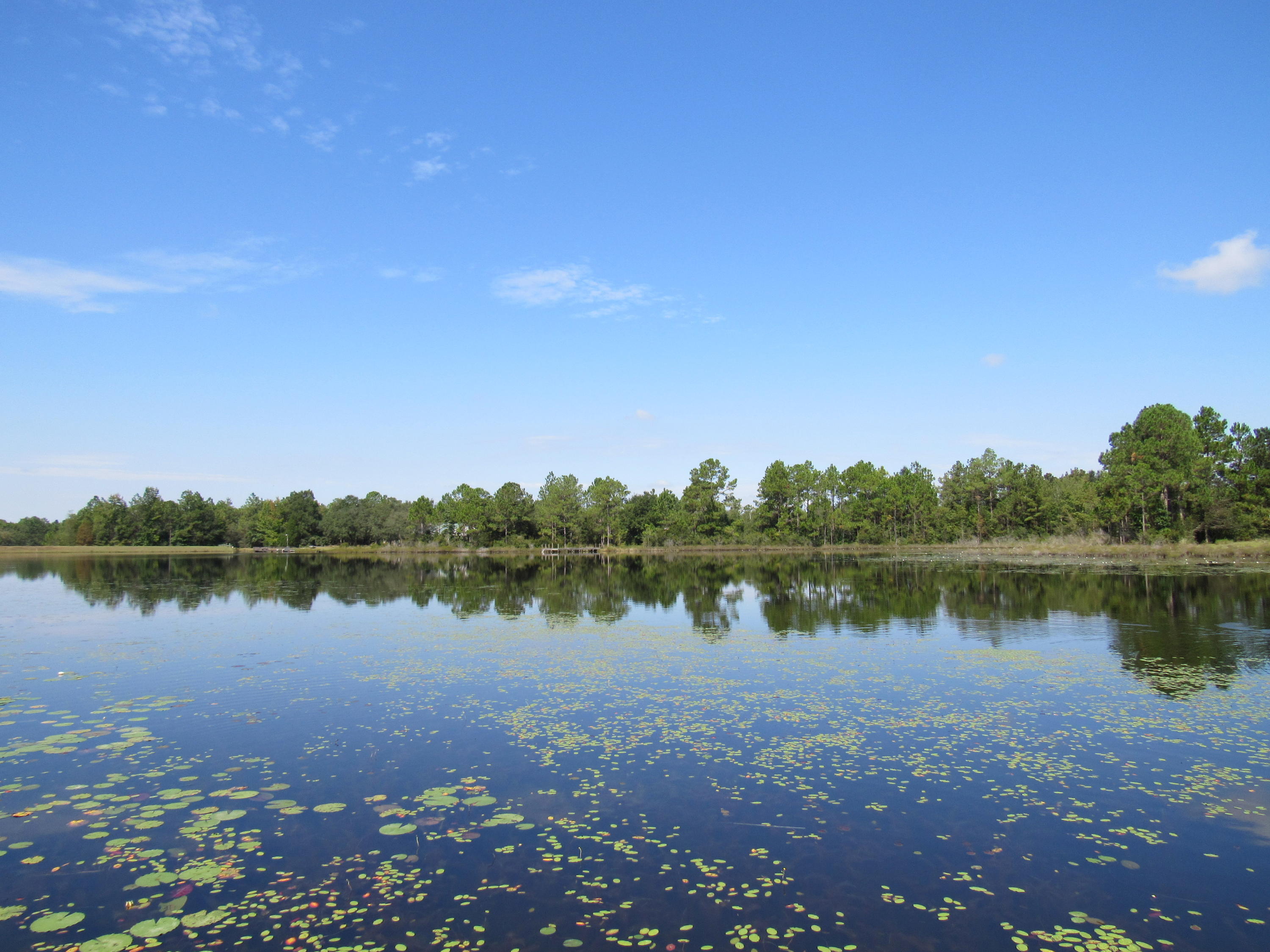 1-acre Caswell Road DeFuniak Springs, FL 32433 - Photo 1 of 5 Straight Across View