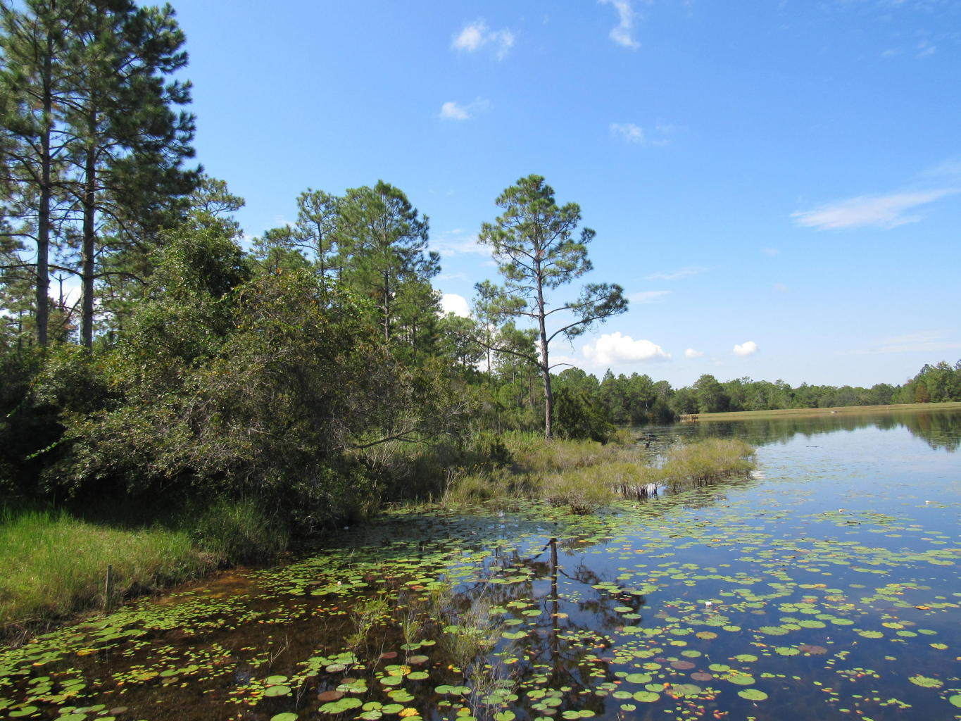 1-acre Caswell Road DeFuniak Springs, FL 32433 - Photo 2 of 5 View to left