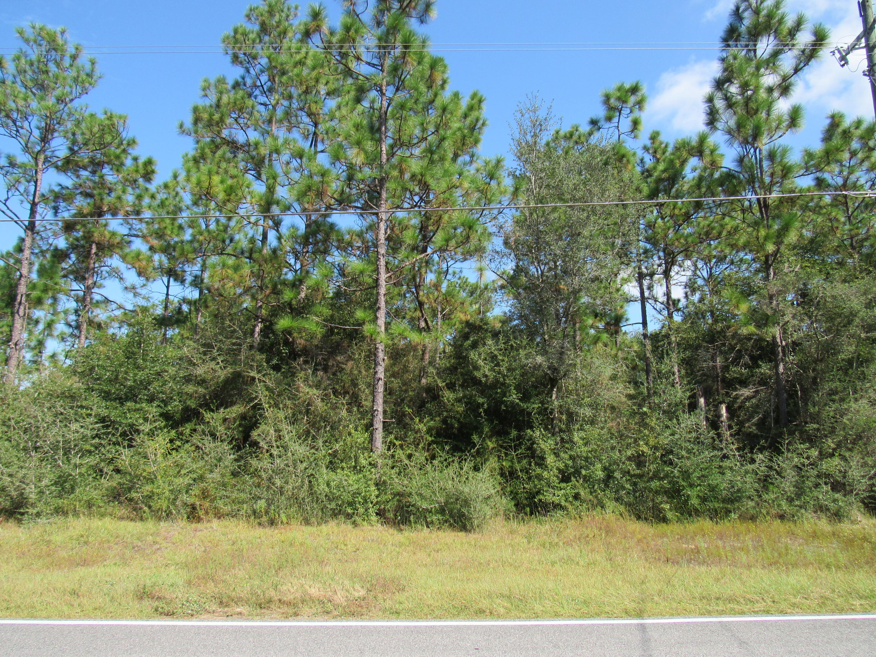 1-acre Caswell Road DeFuniak Springs, FL 32433 - Photo 4 of 5 View from Road
