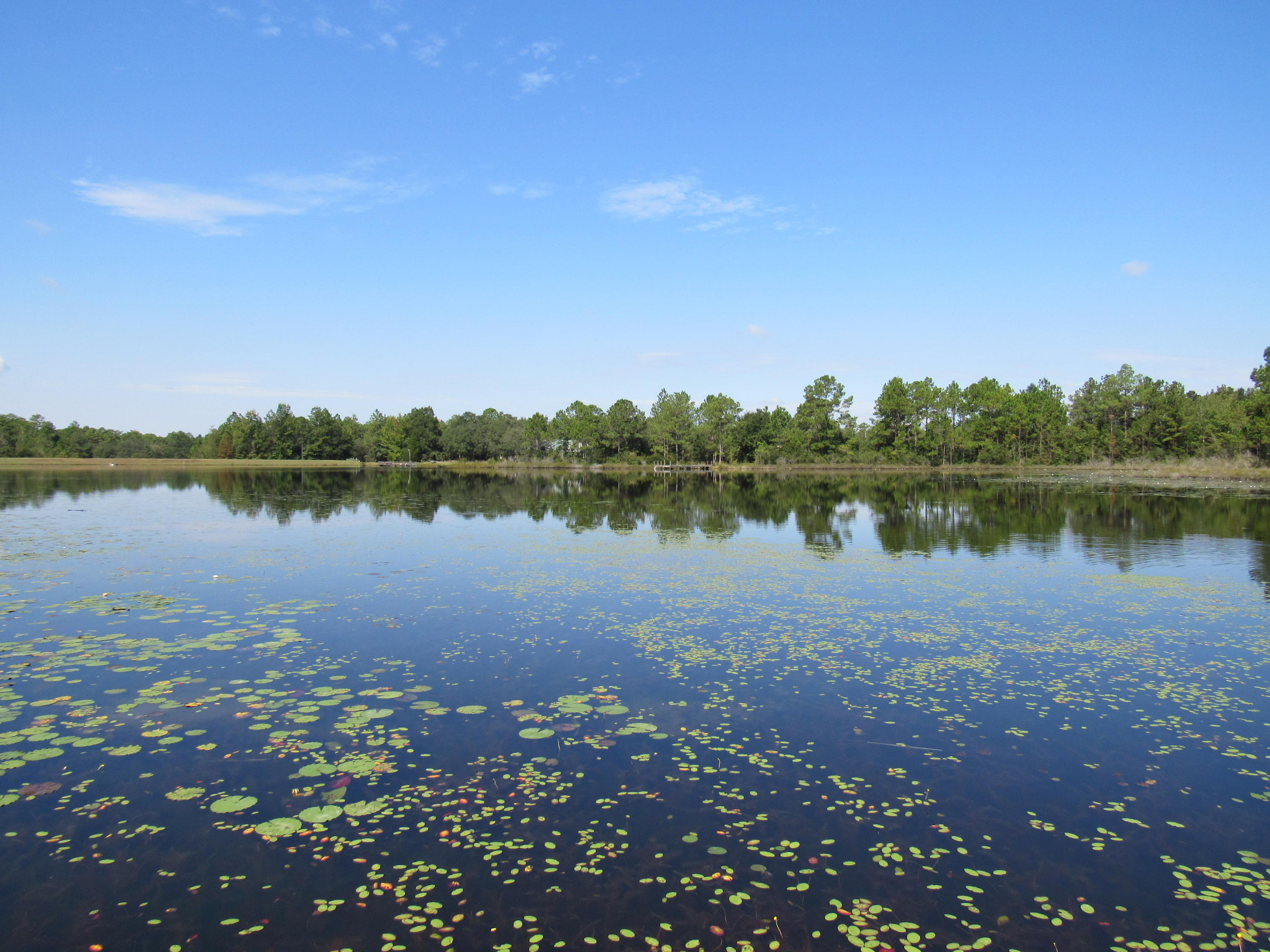 1-acre Caswell Road DeFuniak Springs, FL 32433 - Photo 5 of 5 Beautiful Waterfront