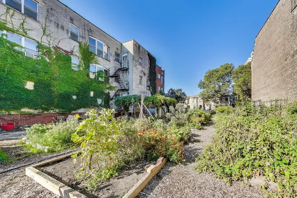 a view of a garden with plants