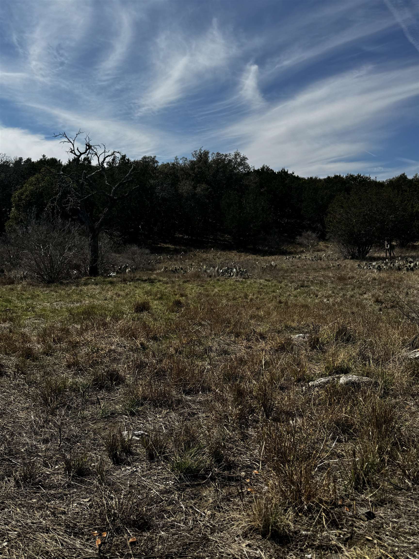 Lot 14047 Diamond Back Marble Falls, TX 78654 - Photo 4 of 7 a view of a field