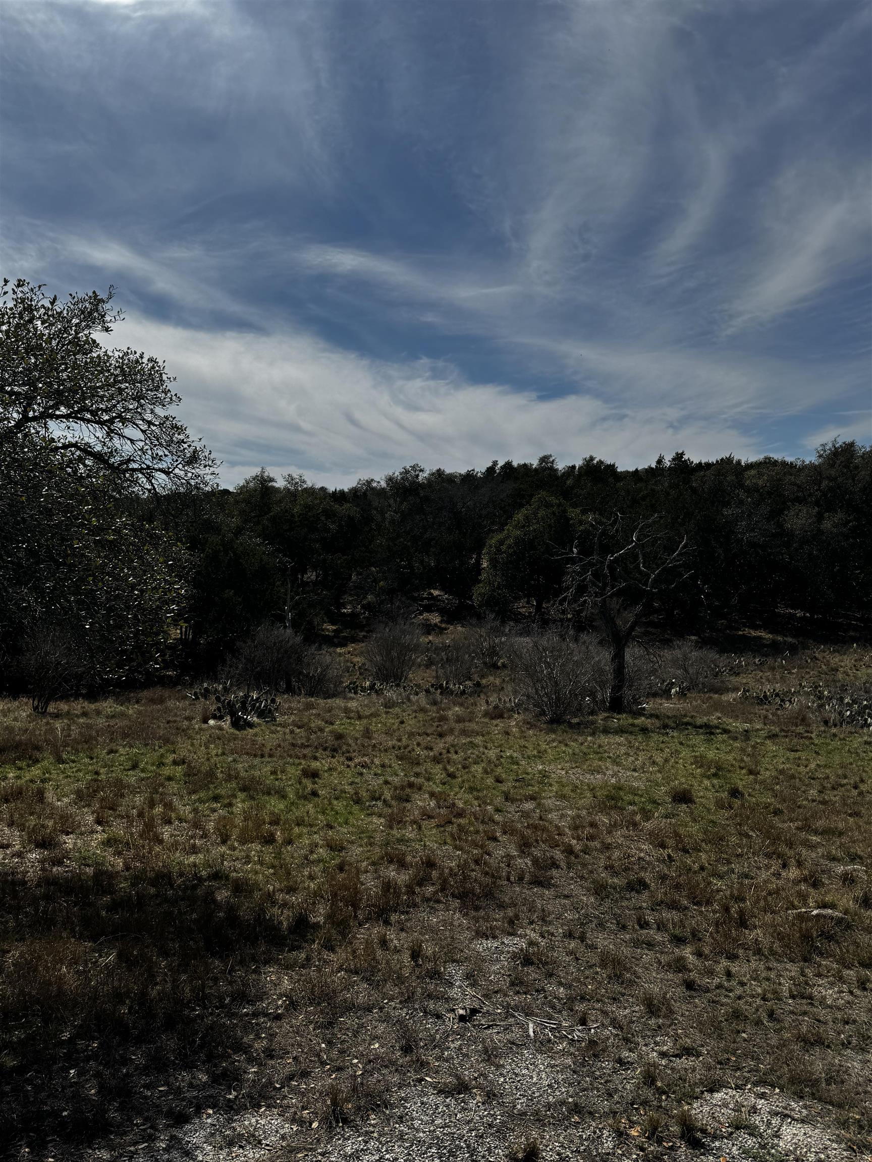 Lot 14047 Diamond Back Marble Falls, TX 78654 - Photo 5 of 7 a view of a dry yard with trees