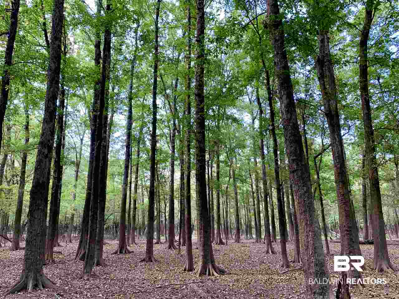 0 Holly Creek Road Stockton, AL 36579 - Photo 35 of 50