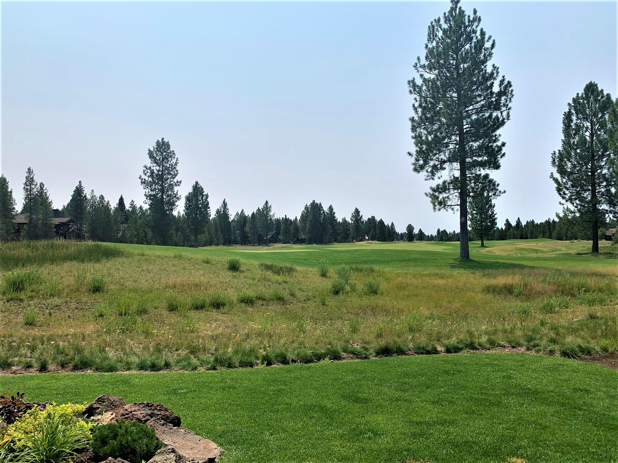 56796 Dancing Rock Loop Bend, OR 97707 - Photo 8 of 52 DR_Back Yard 6