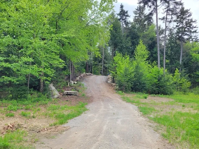 a view of a pathway both side of yard