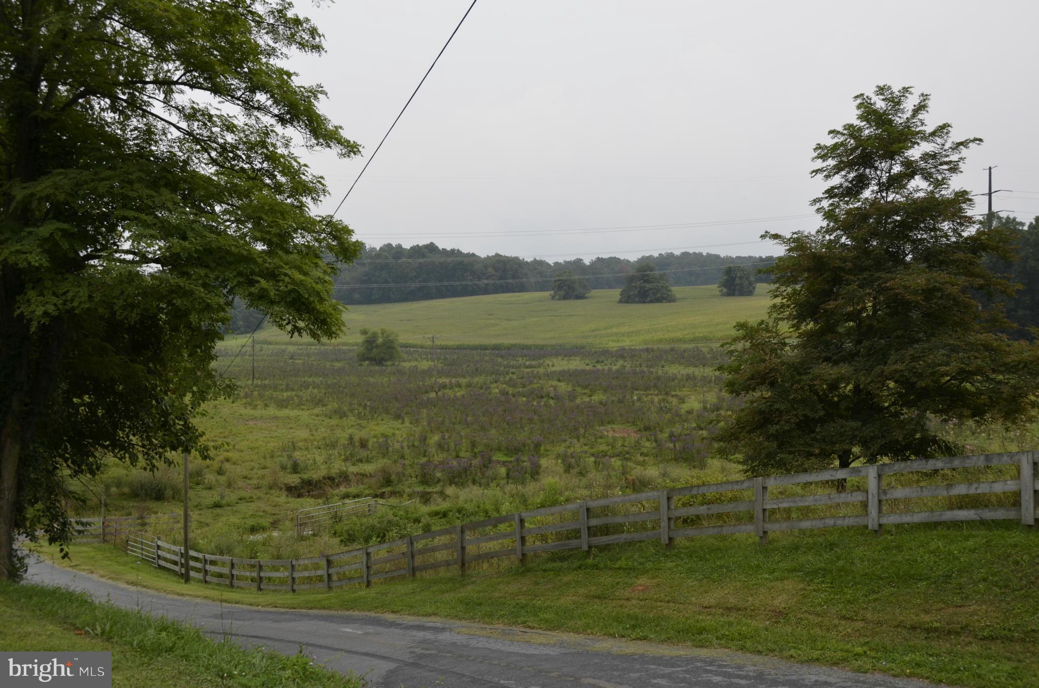 12421 Lime Plant Road Mount Airy, MD 21771 - Photo 27 of 27 Exterior (General)