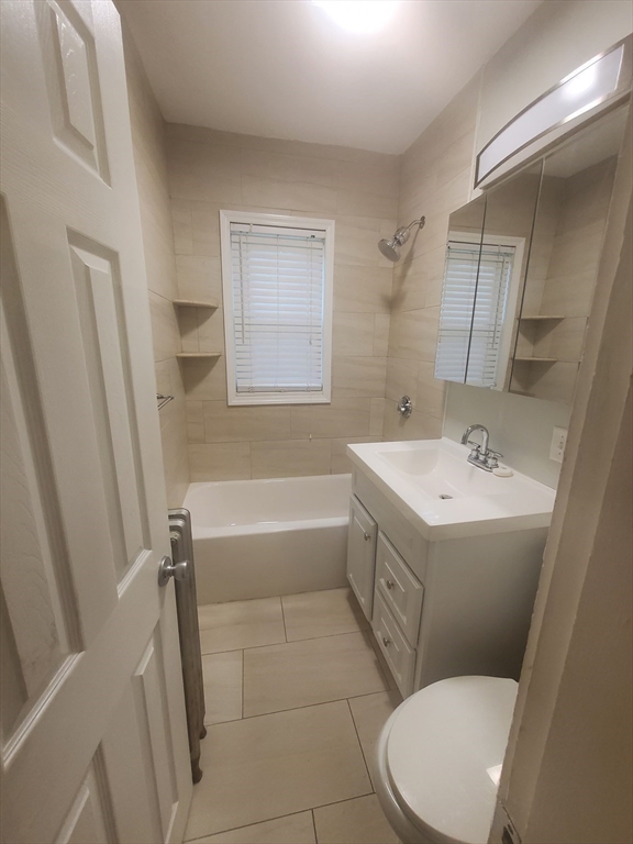45 Intervale Street, Unit 2 Boston, MA 02121 - Photo 14 of 17 a bathroom with a sink a toilet and a bathtub