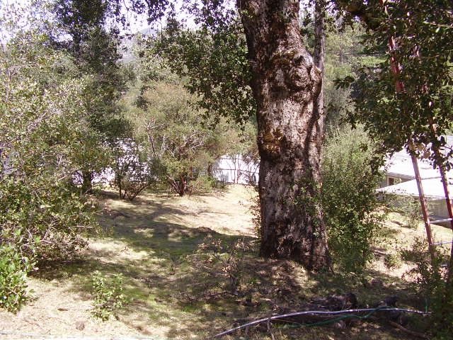 7558 Corte Madera Road Pine Valley, CA 91962 - Photo 16 of 21 Gallery Image 16