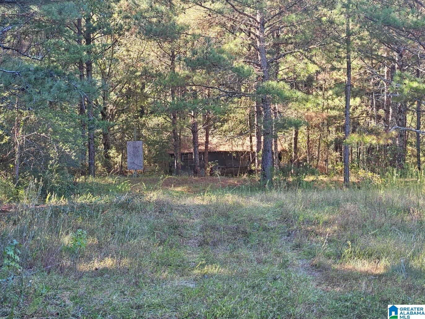 5288 Highway 27 Springville, AL 35146 - Photo 8 of 25