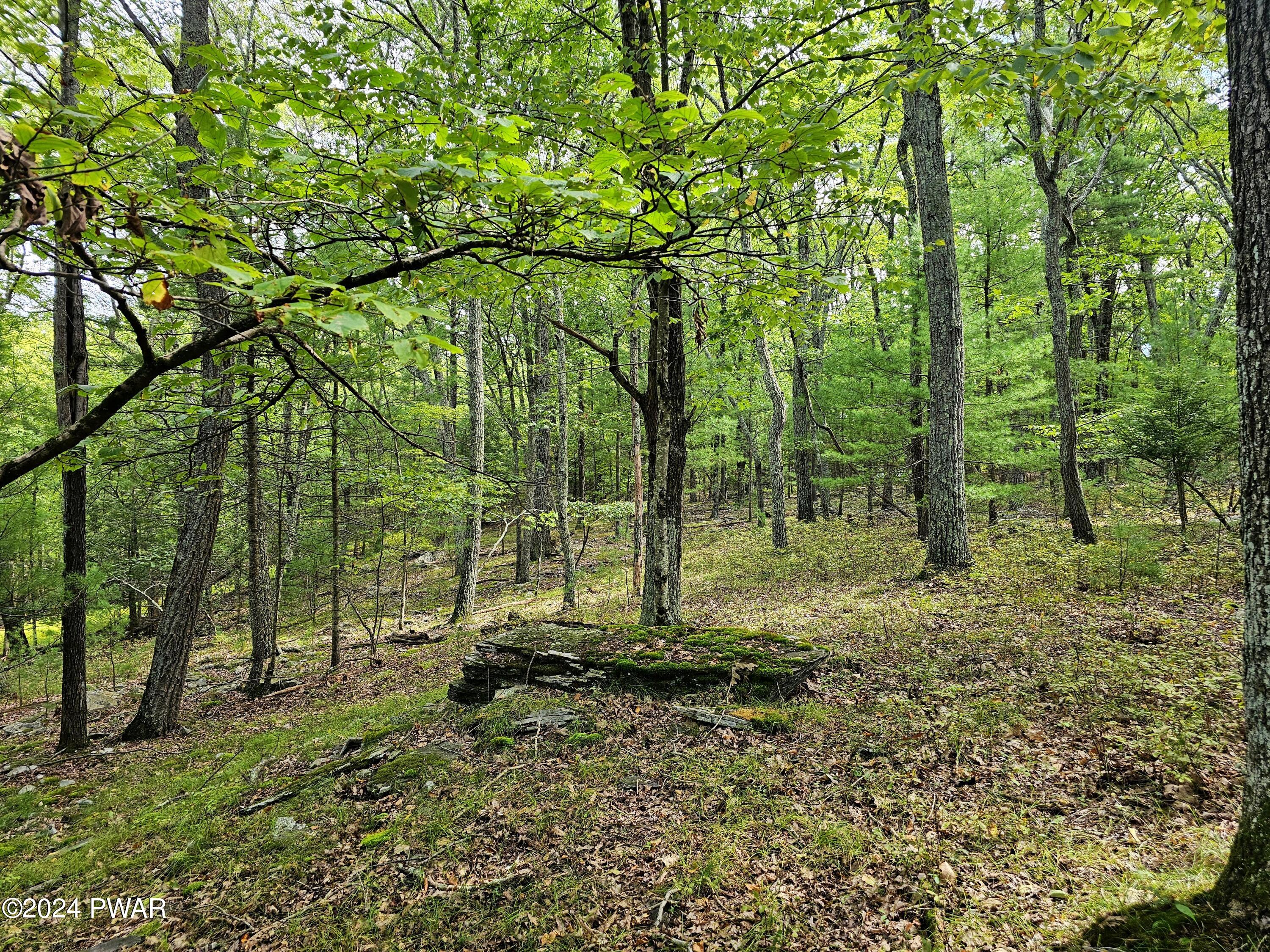 16-32 Oneida Road Shohola, PA 18458 - Photo 7 of 7