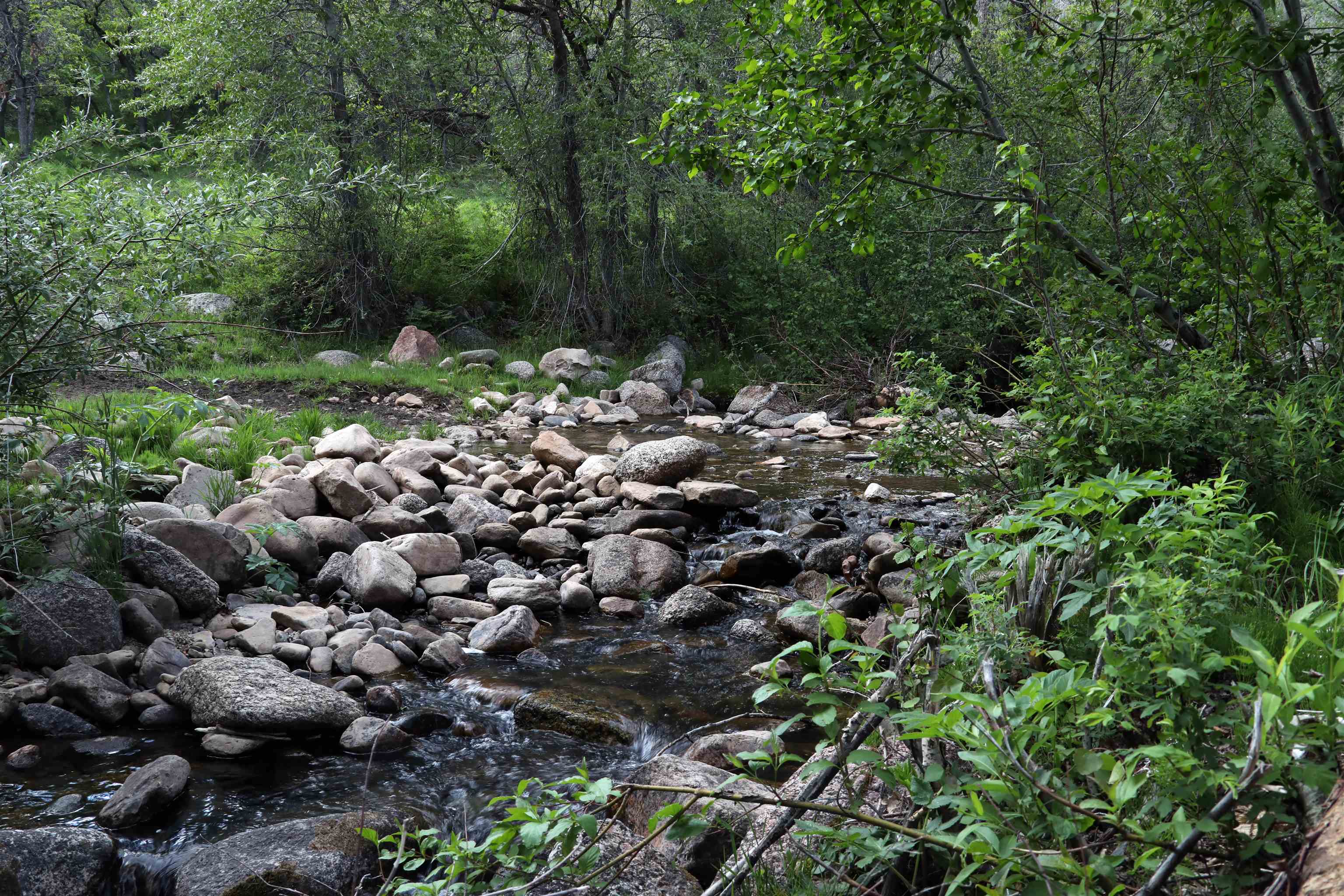 Tbd Tbd Ms Road Glade Park, CO 81523 - Photo 9 of 20