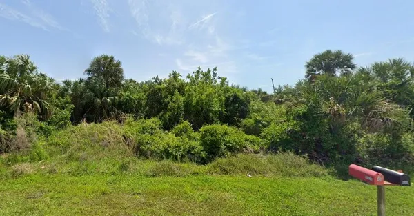 a view of a garden