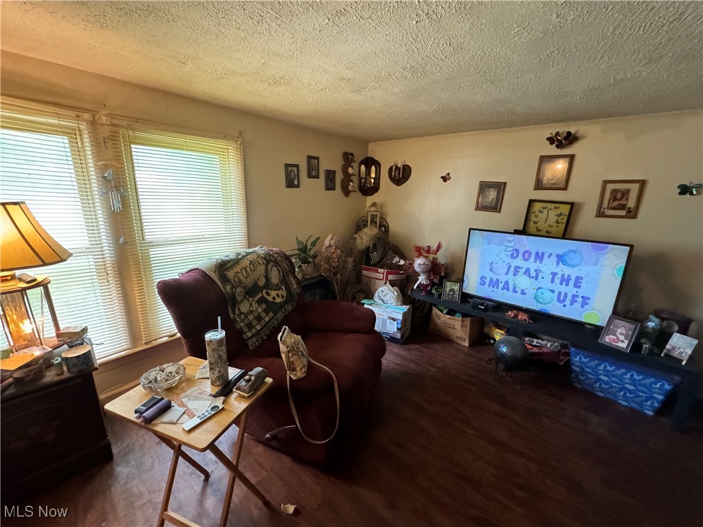 1920 South River Road Zanesville, OH 43701 - Photo 20 of 21 Living room with a textured ceiling and hardwood / wood-style flooring
