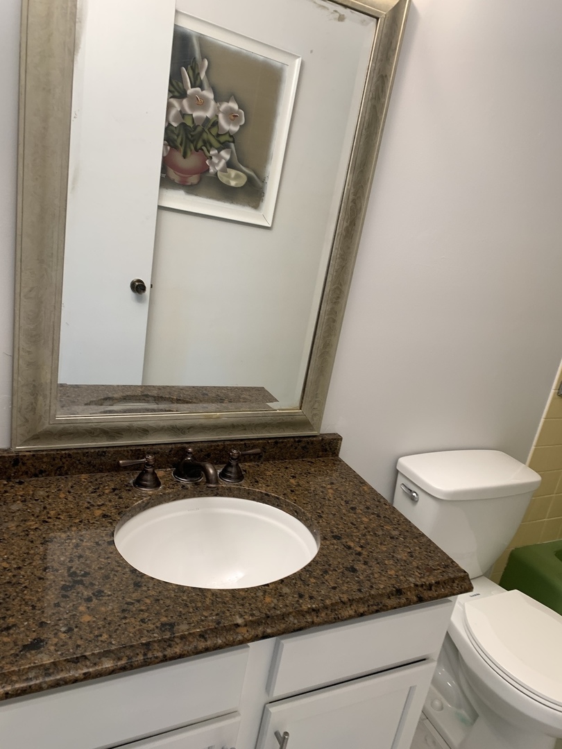 1210 Devonshire Drive Joliet, IL 60435 - Photo 32 of 35 a bathroom with a granite countertop sink and a mirror