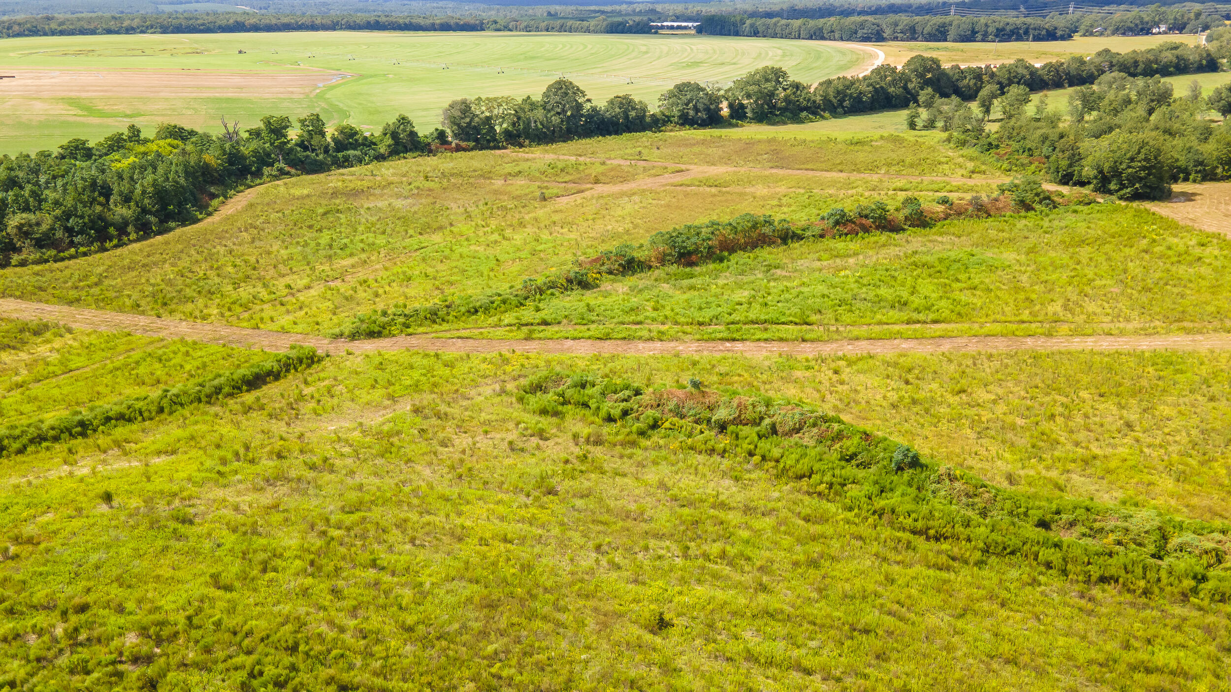 Lot 4 Union Academy Road Salley, SC 29137 - Photo 8 of 12