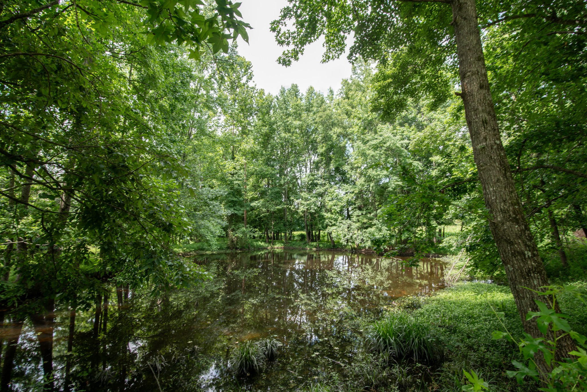 169 Pendergrass Road Flintville, TN 37335 - Photo 5 of 16