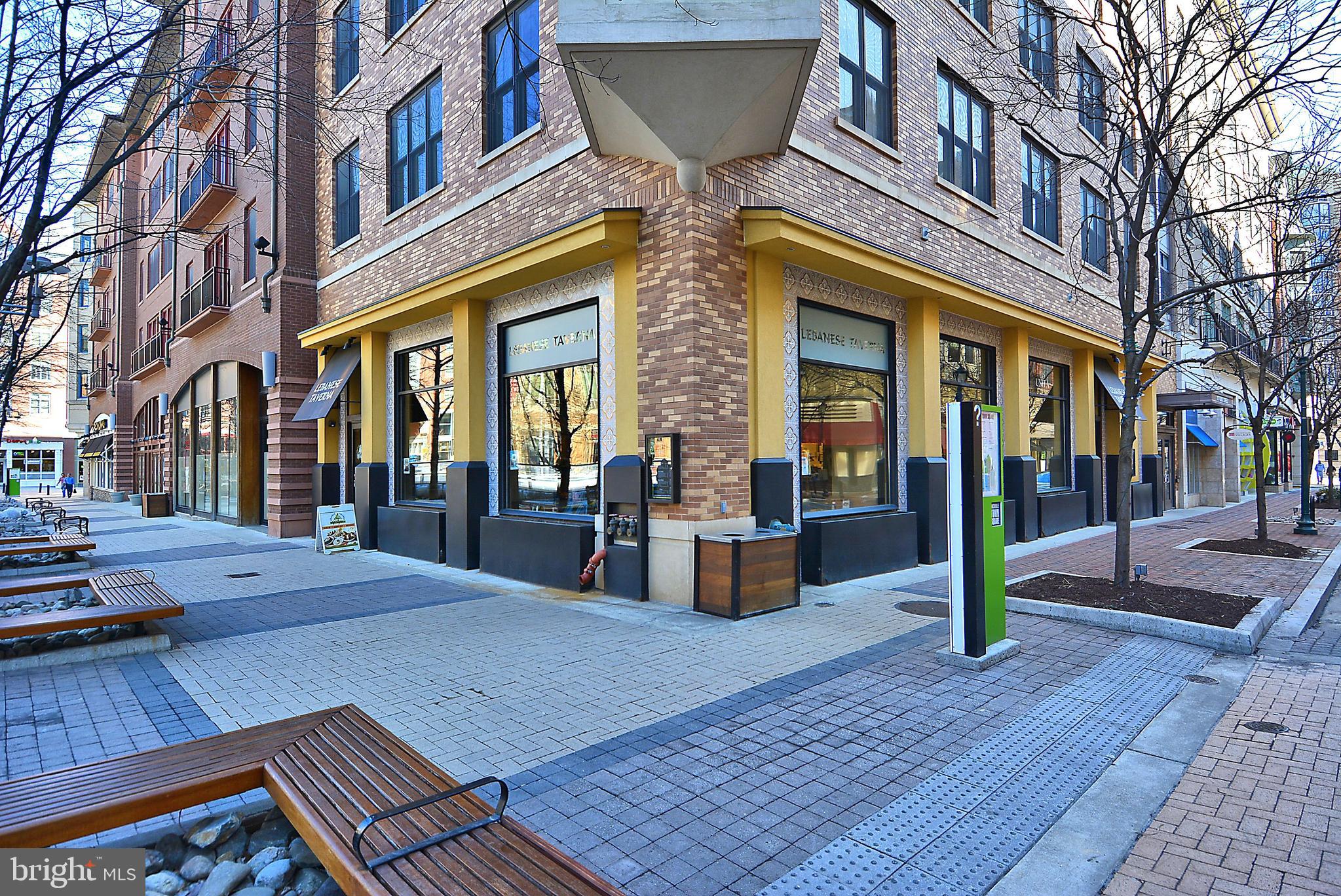 14202 Chesterfield Road Rockville, MD 20853 - Photo 58 of 61 Gallery Image 58