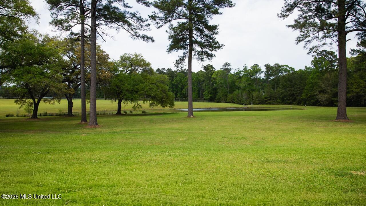1979 Leman Road Oakdale, LA 71463 - Photo 30 of 44 0R6C9954 Large