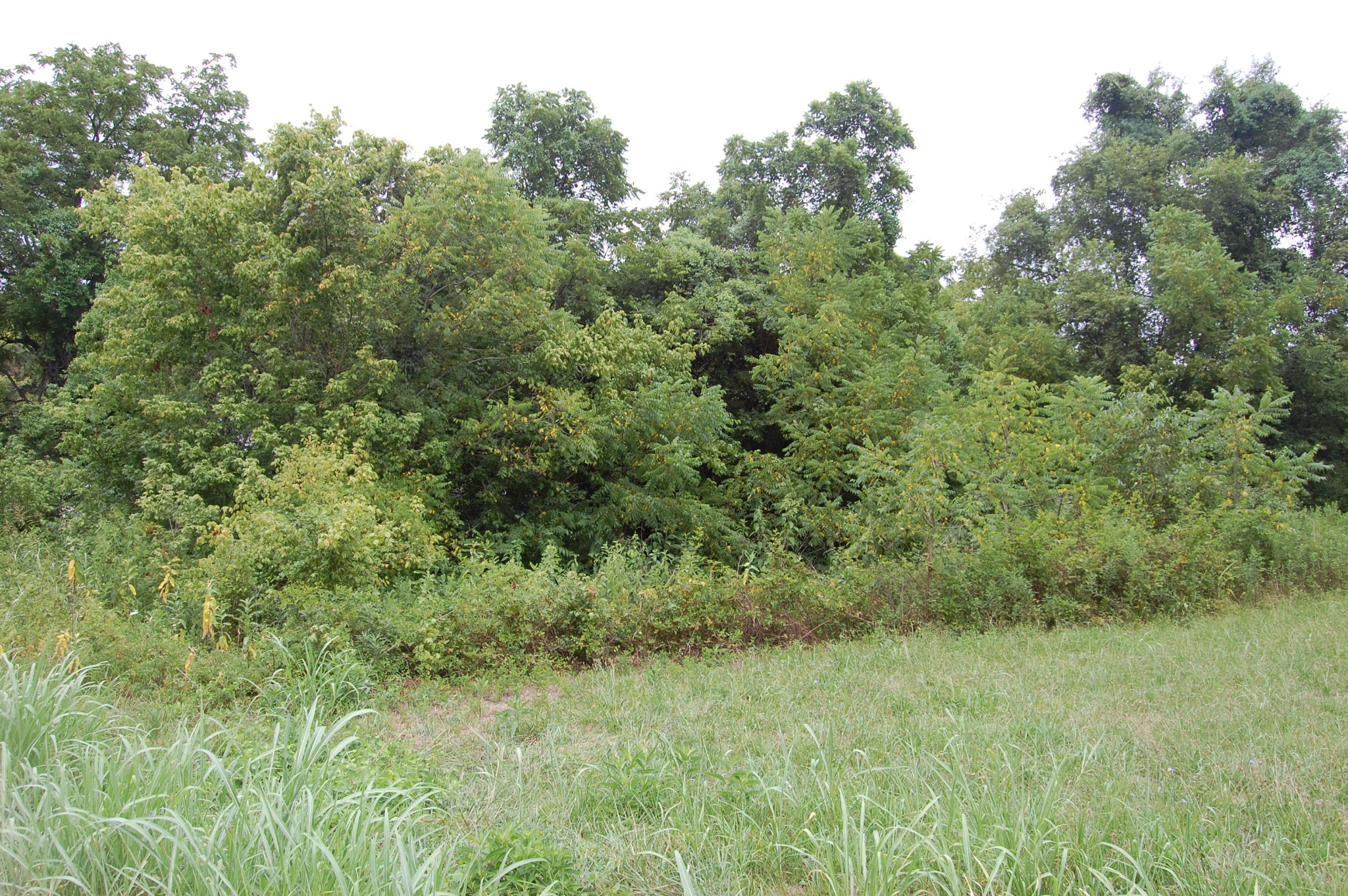 8470 Covington Road Eagleville, TN 37060 - Photo 54 of 55 Gallery Image 54