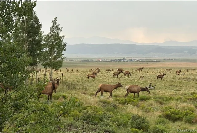 $500,000 | 1793 Michigan Hill Road, Jefferson, CO 80456