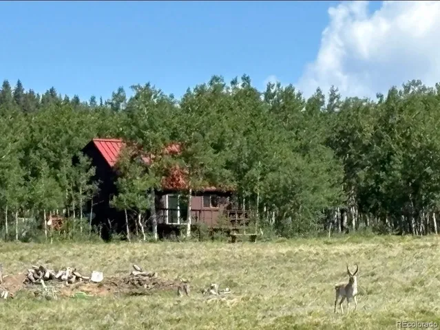 $500,000 | 1793 Michigan Hill Road, Jefferson, CO 80456