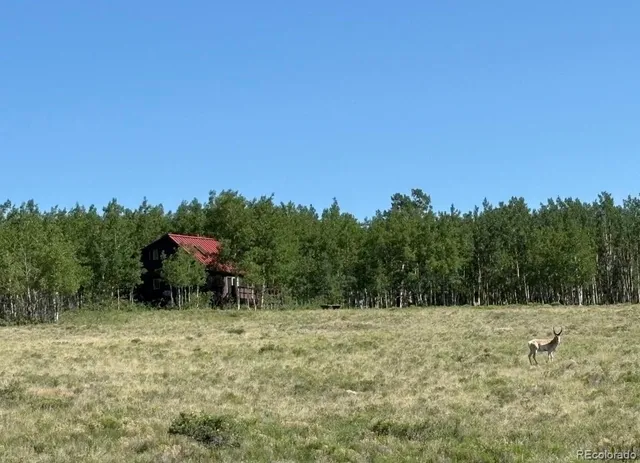 $500,000 | 1793 Michigan Hill Road, Jefferson, CO 80456