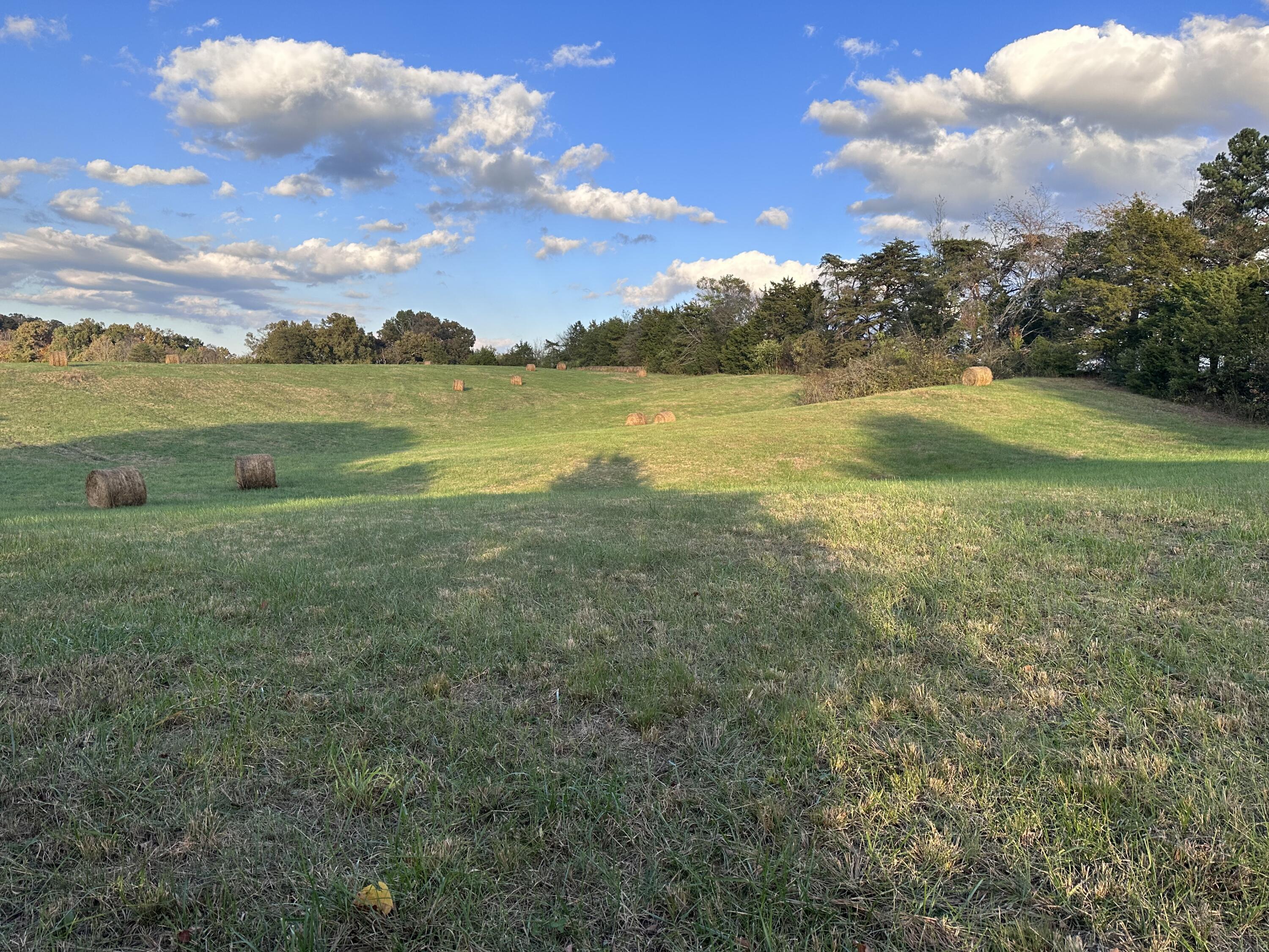 5.28-ac Parman Road Greeneville, TN 37743 - Photo 14 of 28 Several build sites!