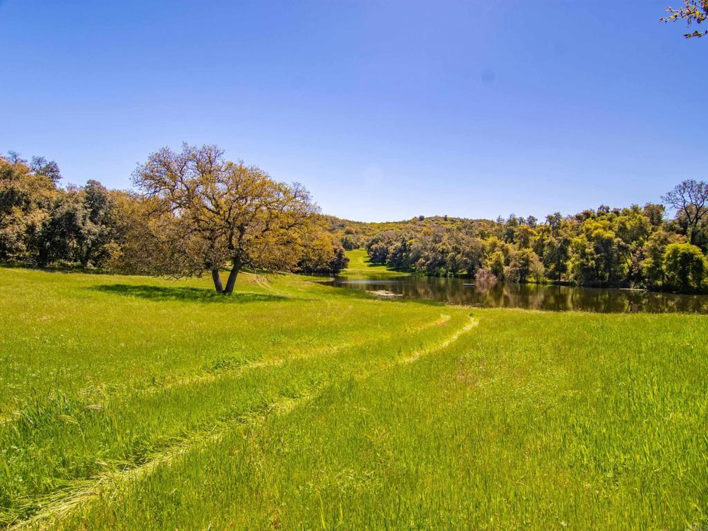 342-acres Mesa Grande Road Santa Ysabel, CA 92070 - Photo 4 of 42 a view of yard with ocean view