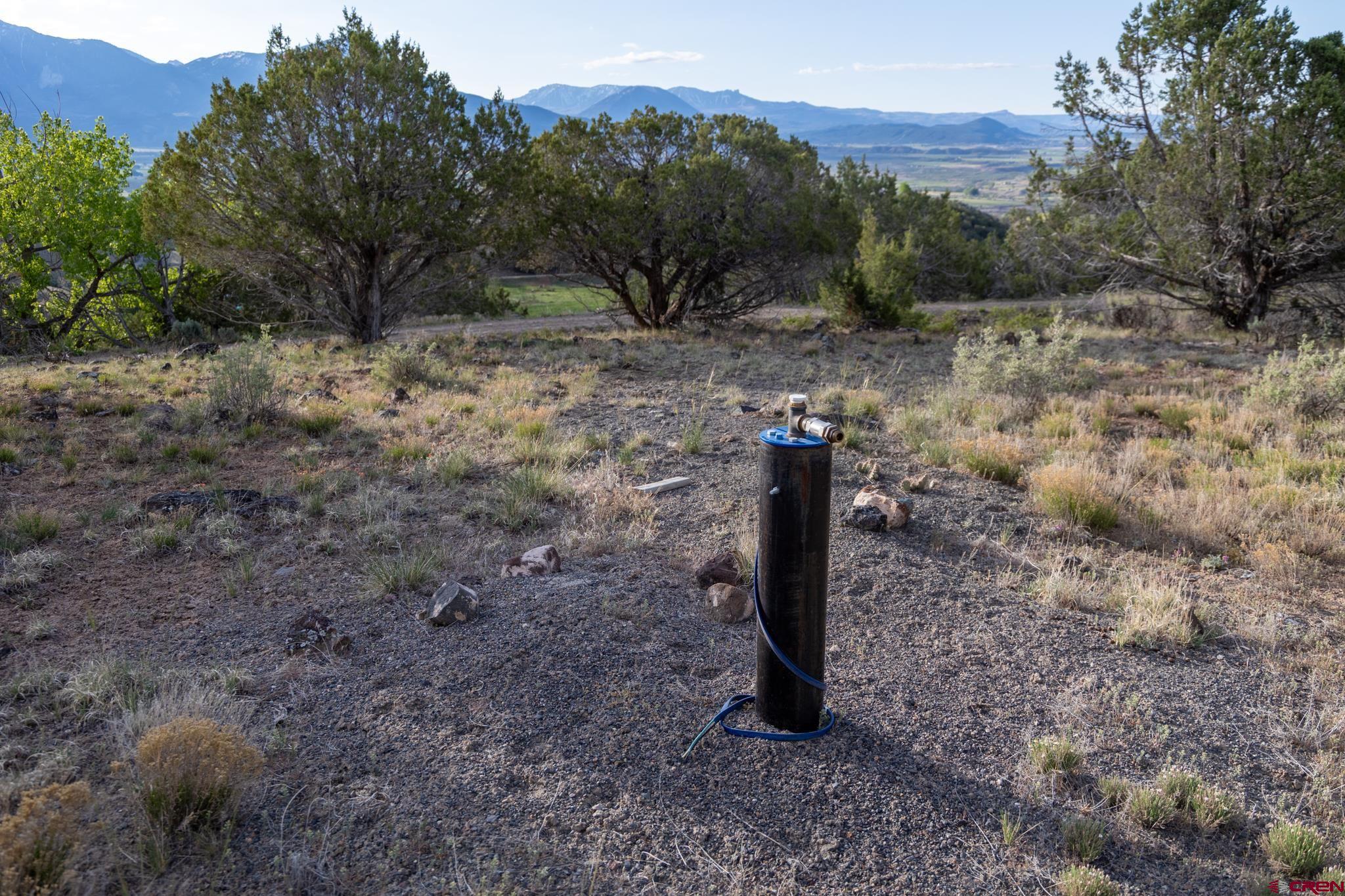 Tbd Powell Mesa Road Hotchkiss, CO 81419 - Photo 18 of 29 a view of a forest with a tree
