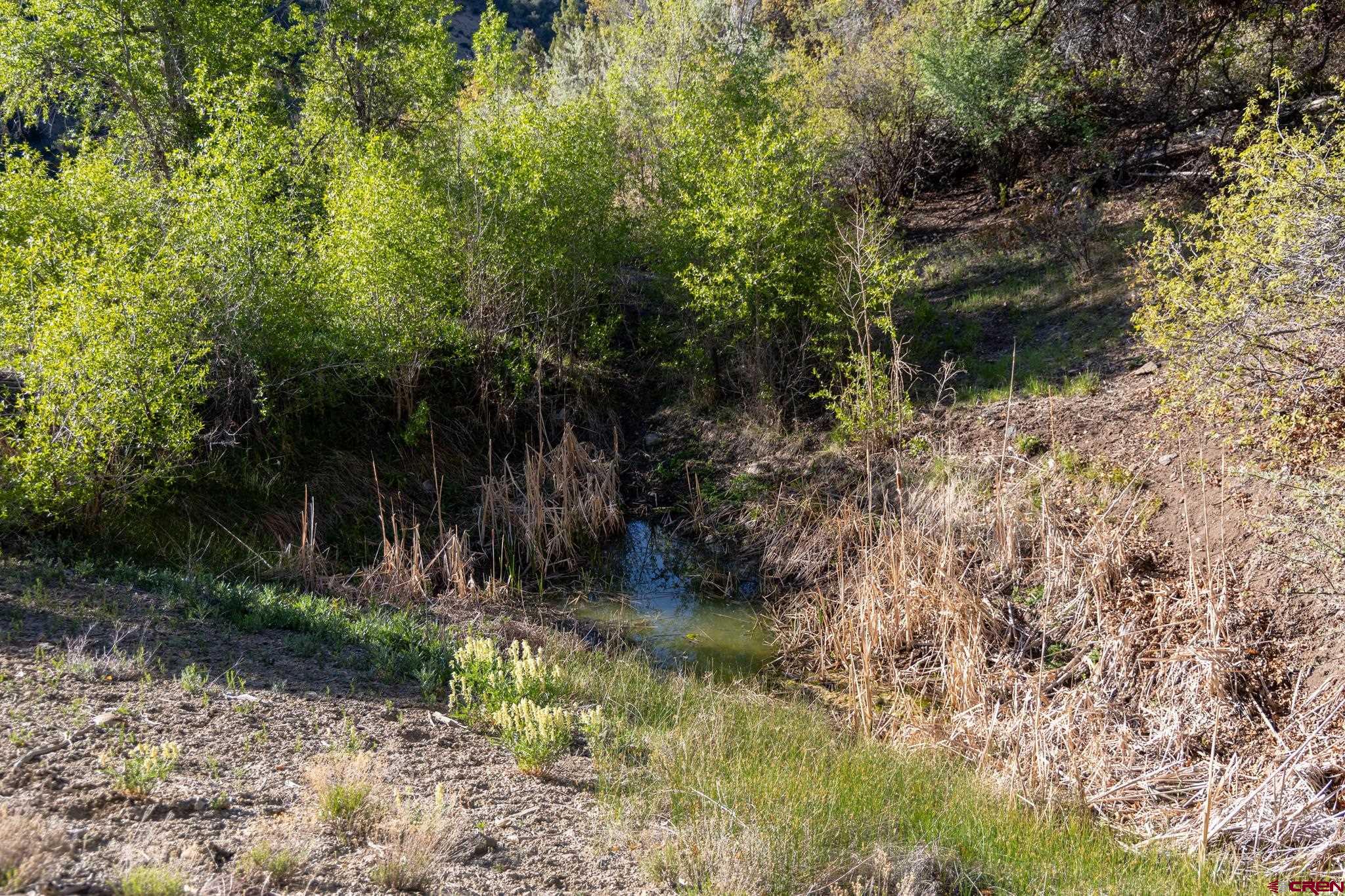 Tbd Powell Mesa Road Hotchkiss, CO 81419 - Photo 19 of 29 a backyard of a house with lots of green space