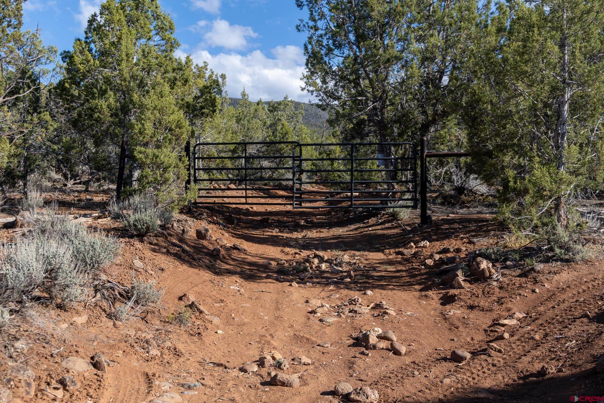 Tbd Powell Mesa Road Hotchkiss, CO 81419 - Photo 22 of 29 a view of a forest with a tree