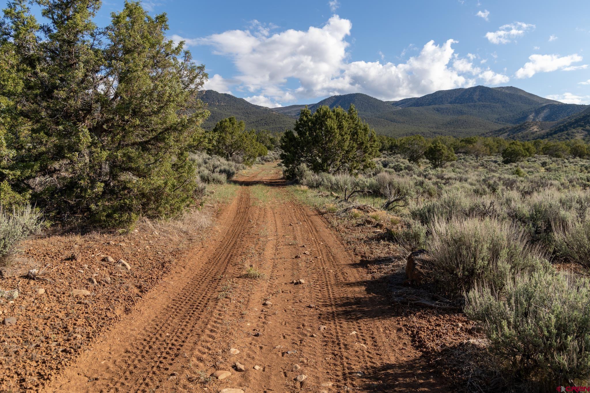 Tbd Powell Mesa Road Hotchkiss, CO 81419 - Photo 23 of 29 a view of a yard